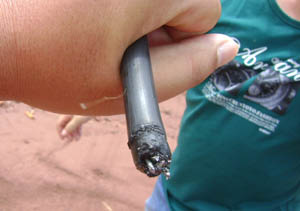 首页| 918博天堂集团中国官方网站